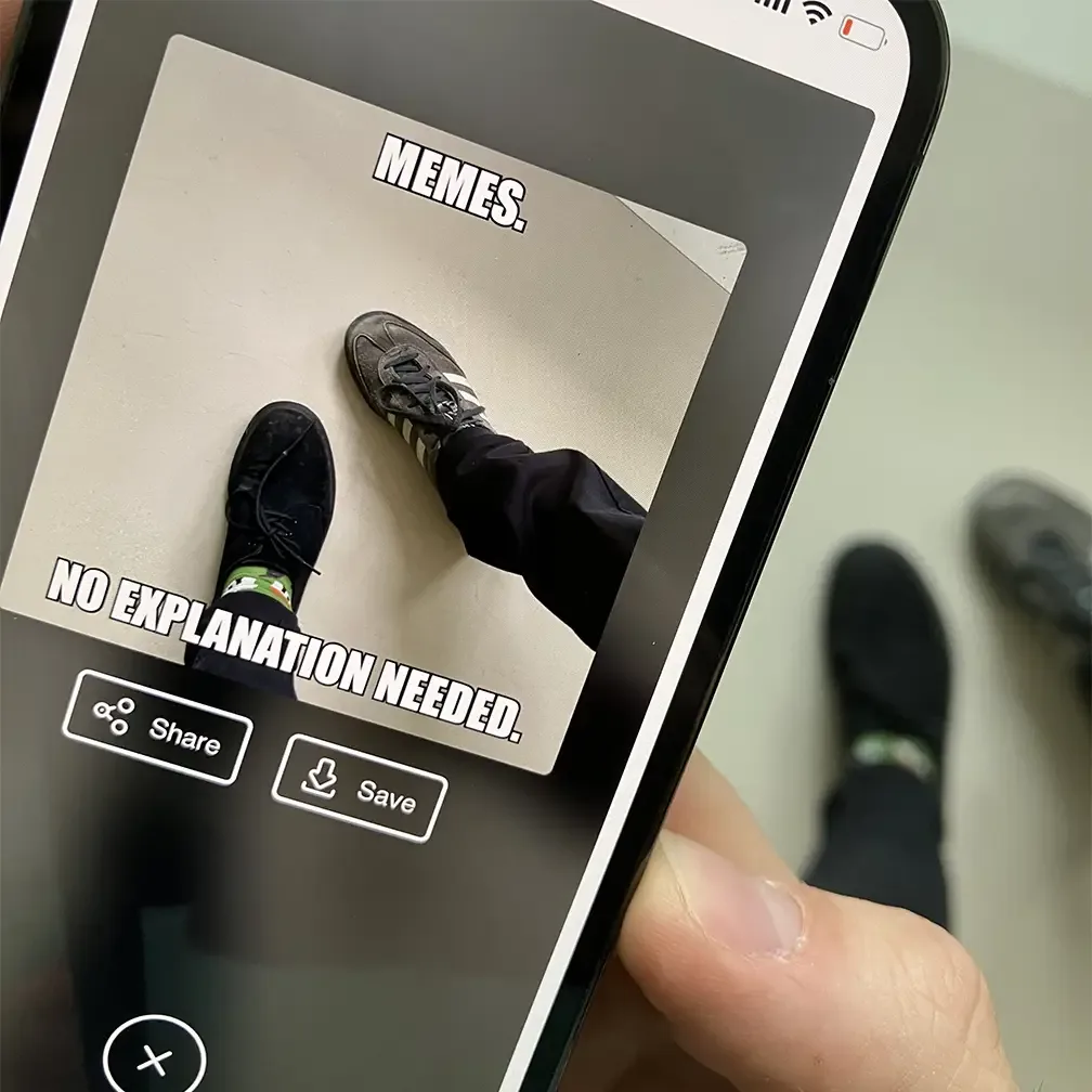 Preview of MemeCam