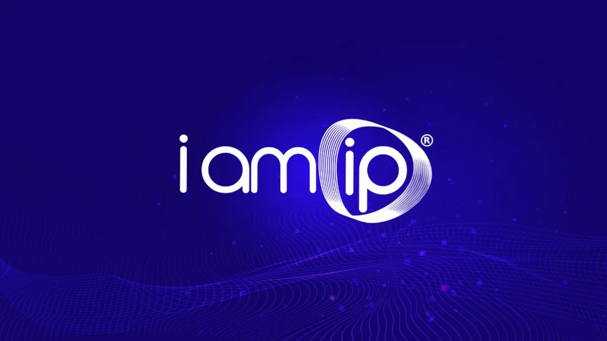 Preview of IamIP