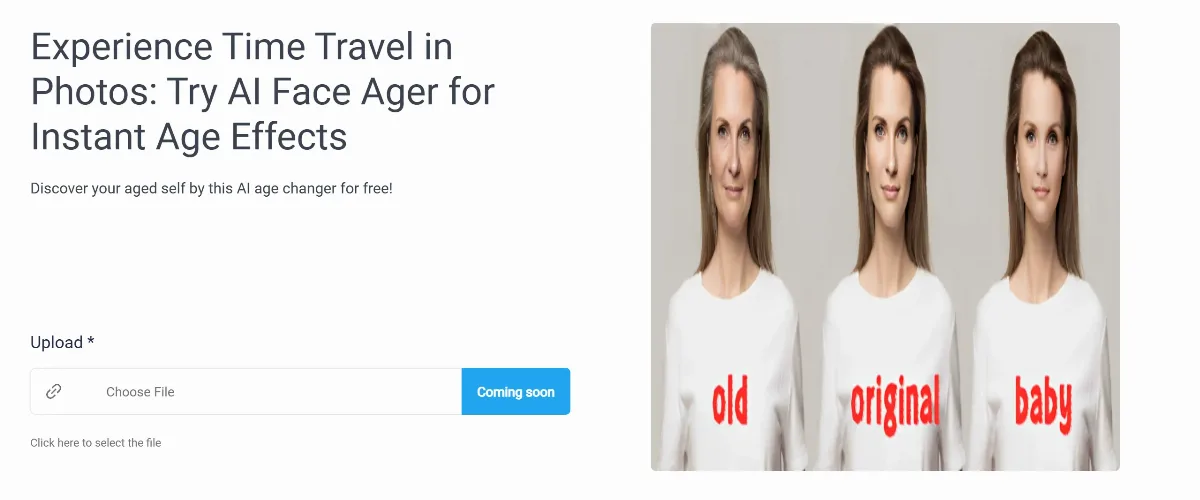Preview of www.facestyler.net