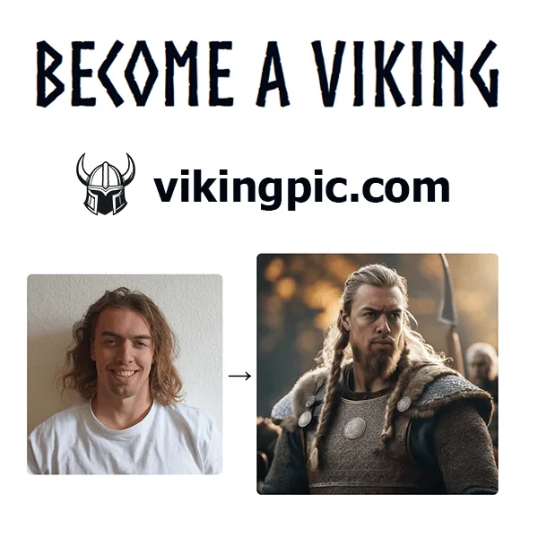 Preview of VikingPic