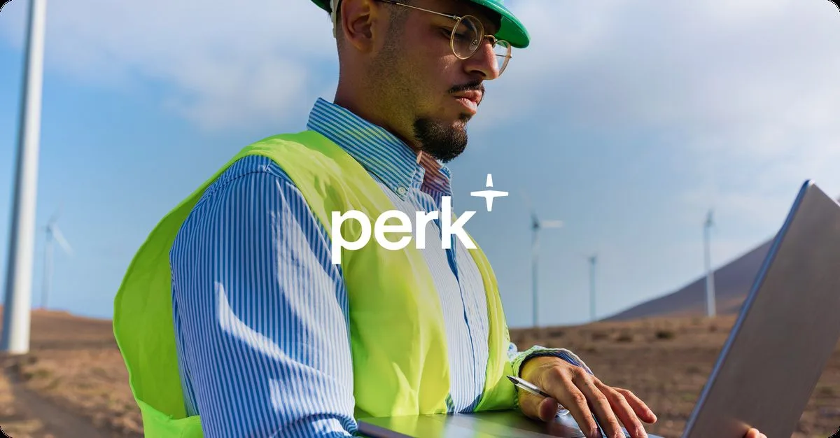 Preview of Perk
