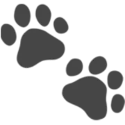 Pet Lens AI logo