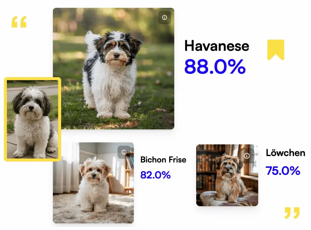 Preview of Breed.Dog