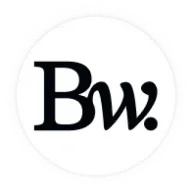 Bridgewise logo