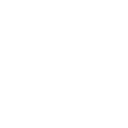 Intellipaper logo
