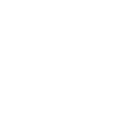 HackFast logo