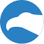 Cityfalcon logo