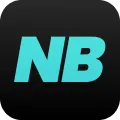 NicheBay logo