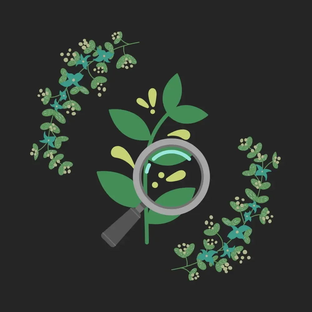 Preview of Agent Crop