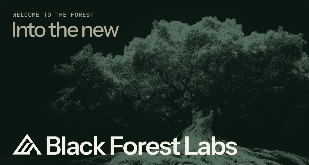 Preview of Black Forest Labs
