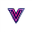 Vidgo AI logo