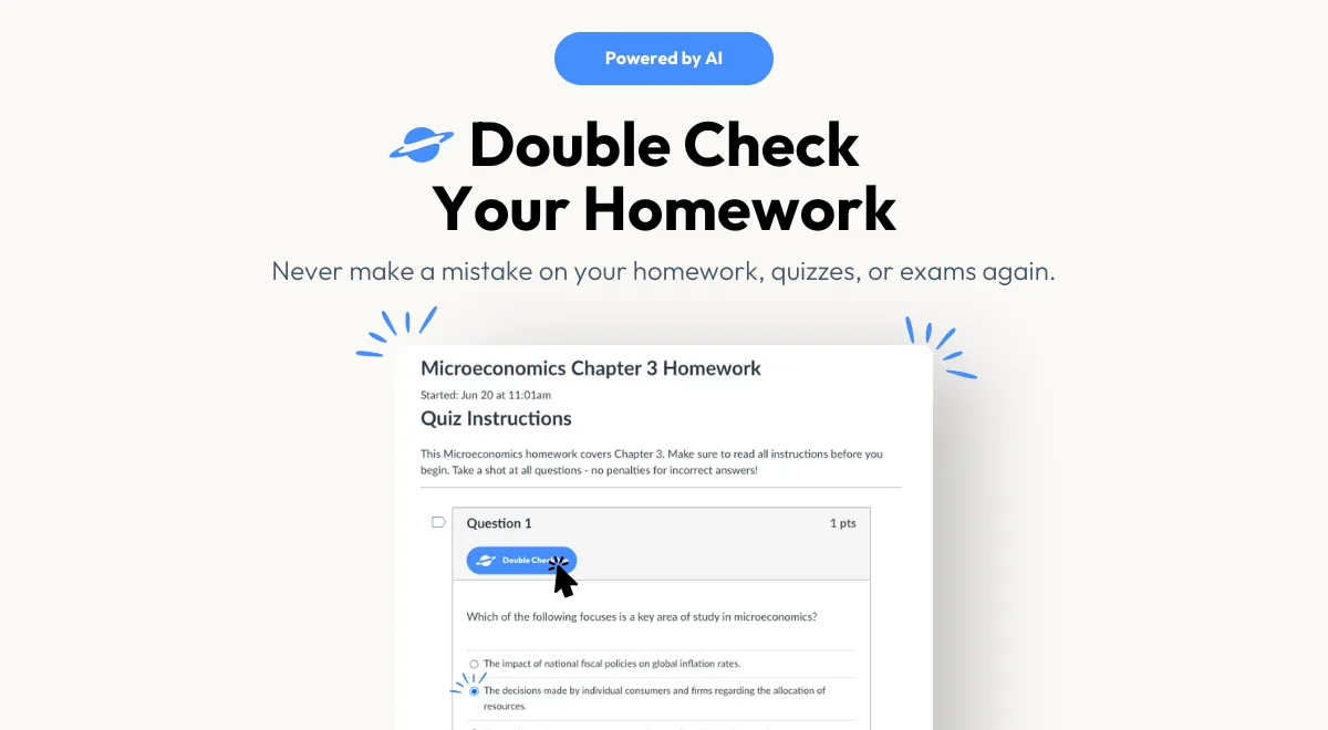Preview of Double Check AI
