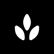 Craftwork logo