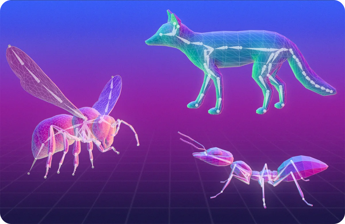 Preview of 3D Animation and Automated Rigging