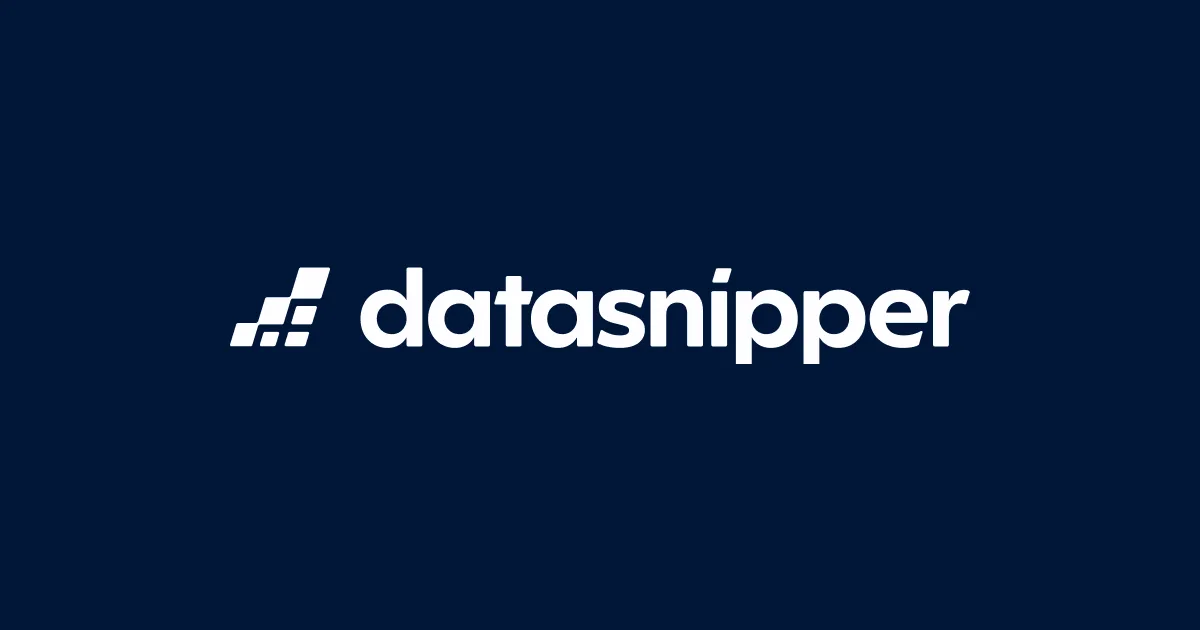 Preview of DataSnipper