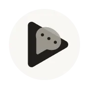 VideoLingo logo