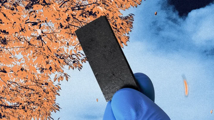 Image for: This startup is turning fallen leaves into biodegradable plastic