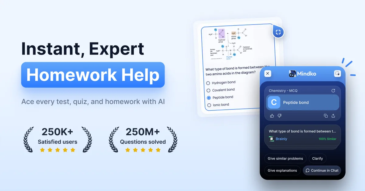 Preview of AI Homework Helper