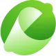 Headlime logo