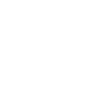 LushBinary logo