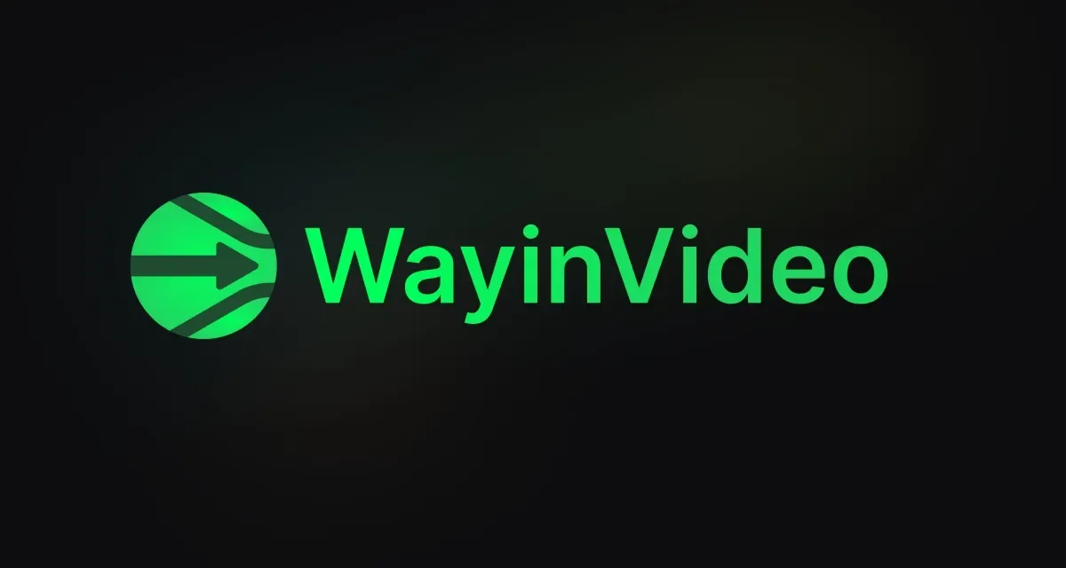 Preview of WayinVideo