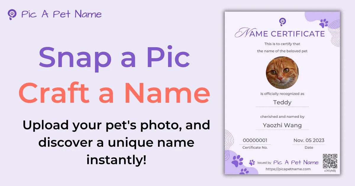 Preview of Pic A Pet Name