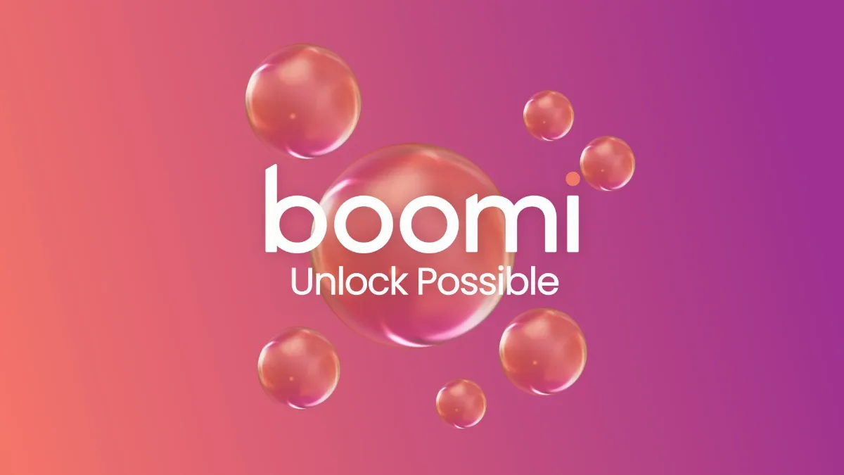 Preview of Boomi