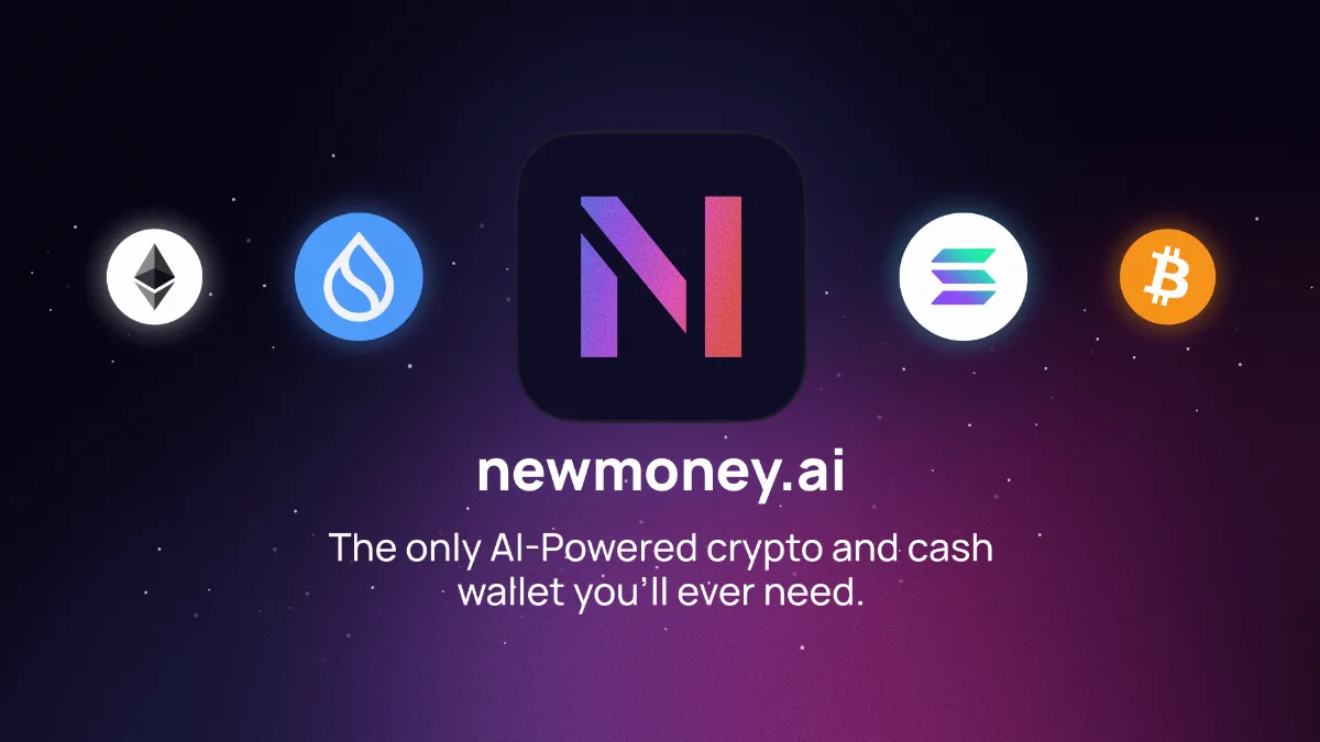 Preview of Newmoney.AI