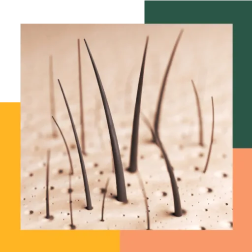 Preview of Hairscope